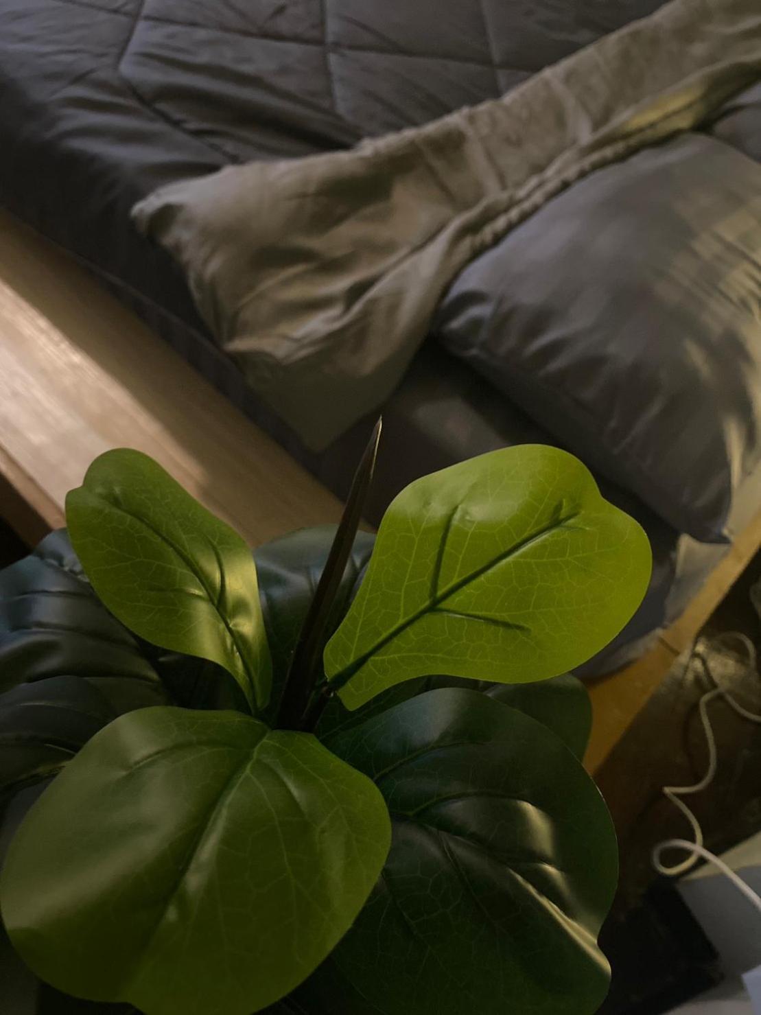 Rhythm Of Life Guesthouse 56 Bangkok Dış mekan fotoğraf